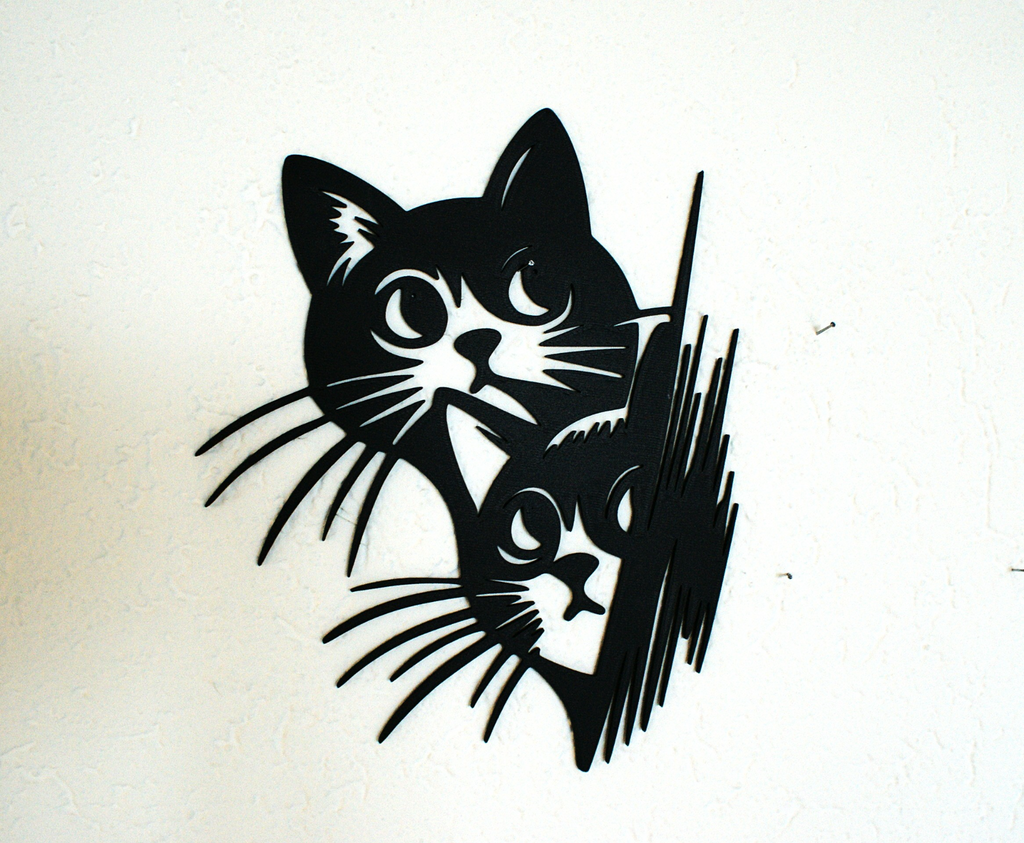 2 Cat