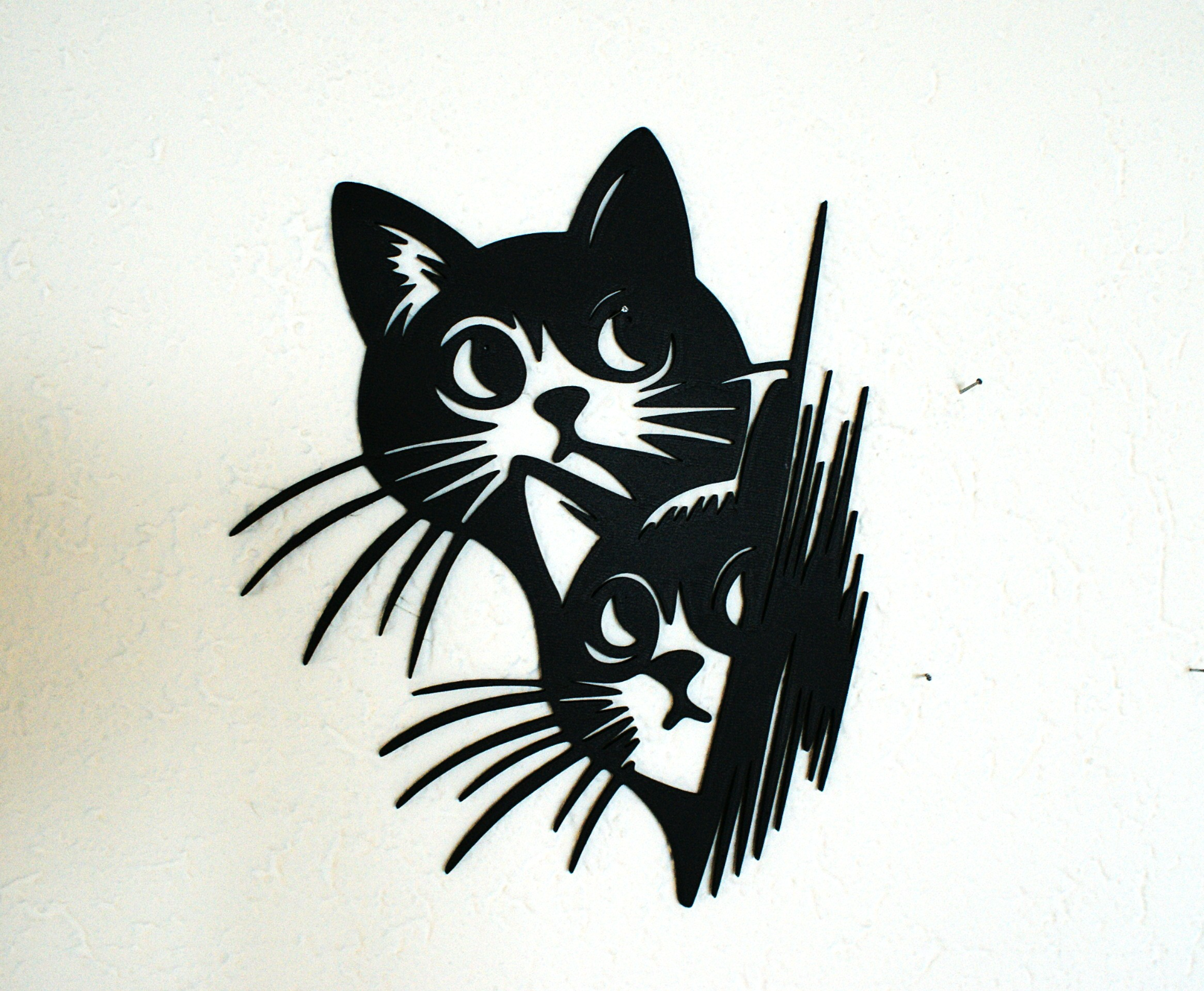 2 Cat