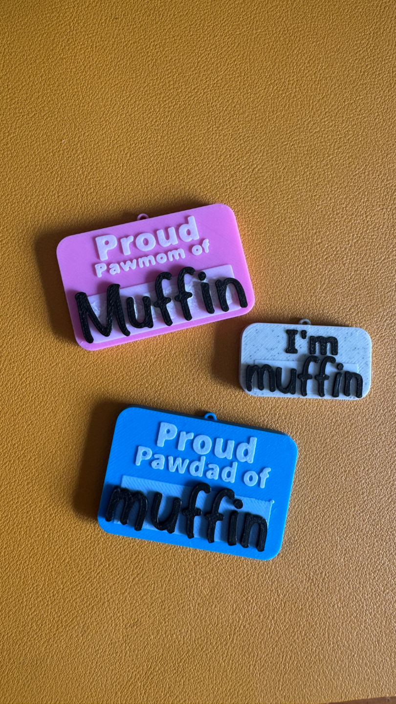 Pet Collar Tag