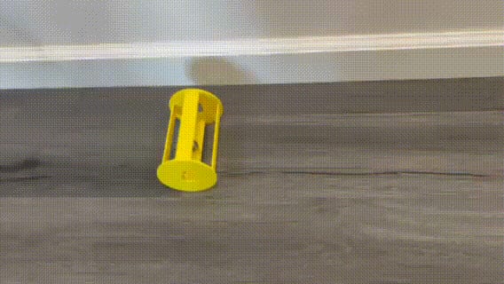 Nut'n Roll