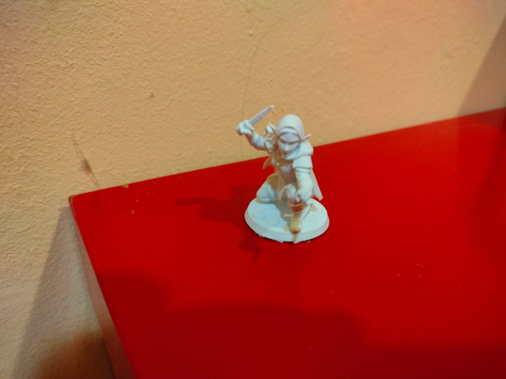 Female Rogue elf DnD 40mm Miniature