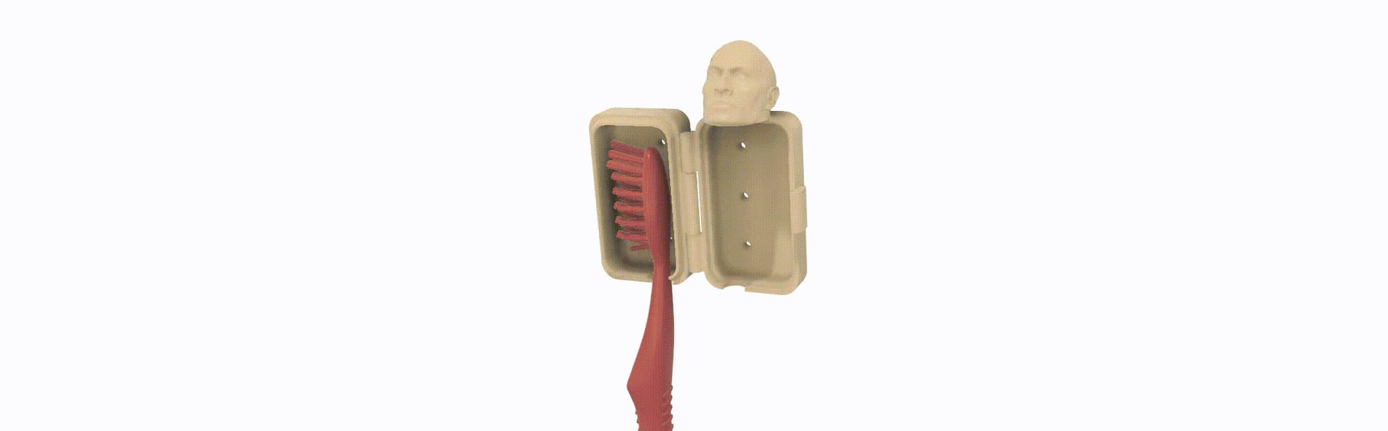 The Rock Toothbrush Case