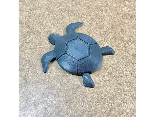 Articulated Sea Turtle