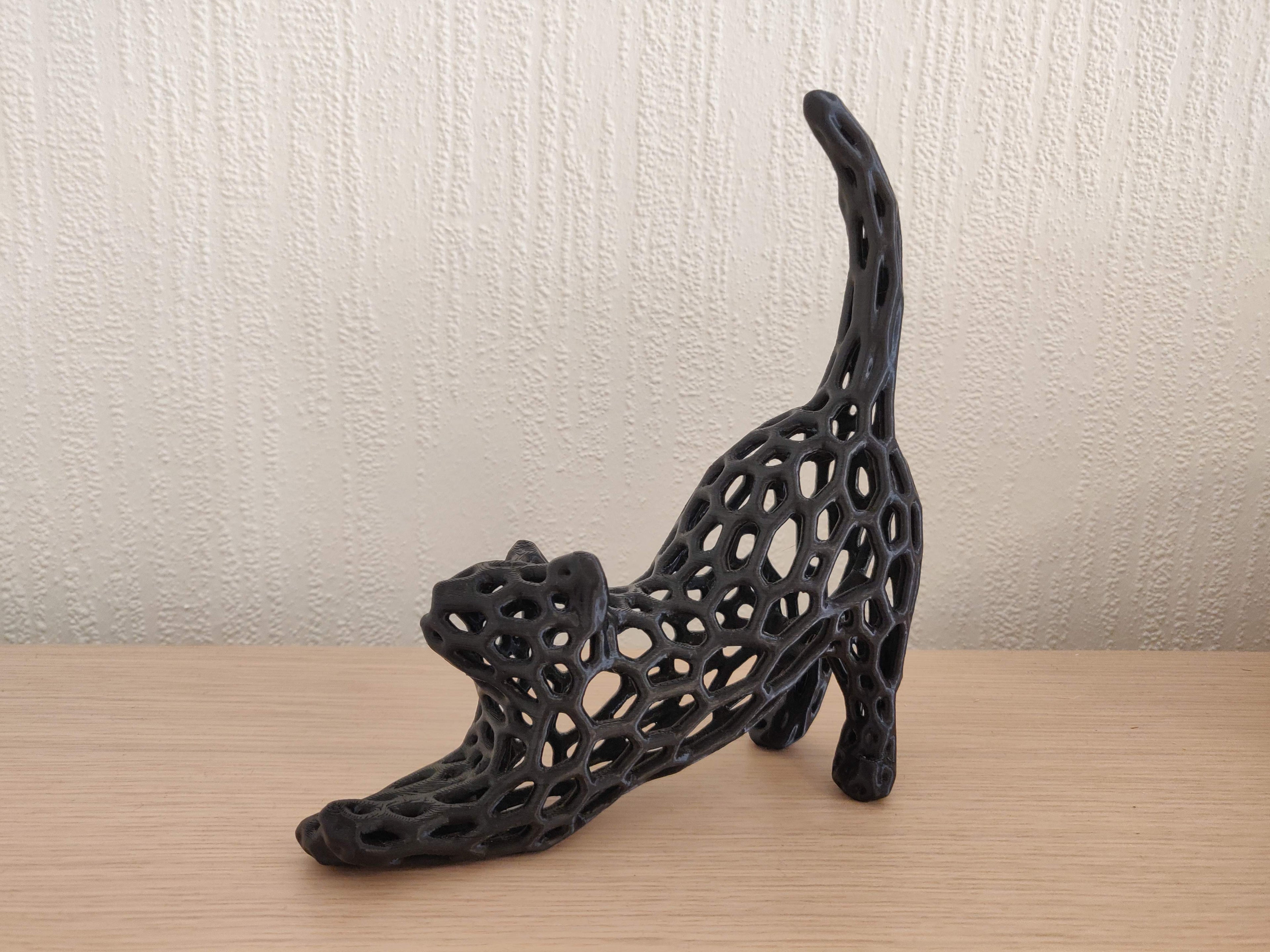 Voronoi Cat Stretch Figure
