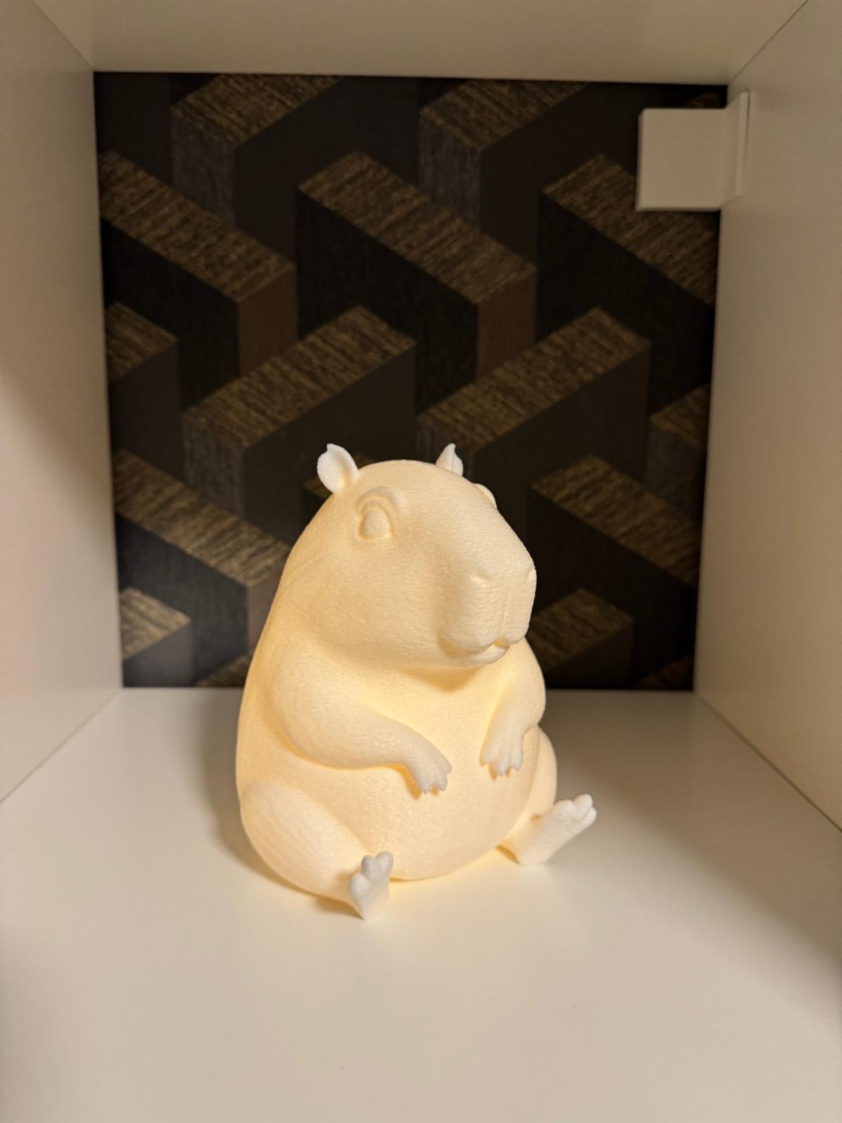 Capybara LED