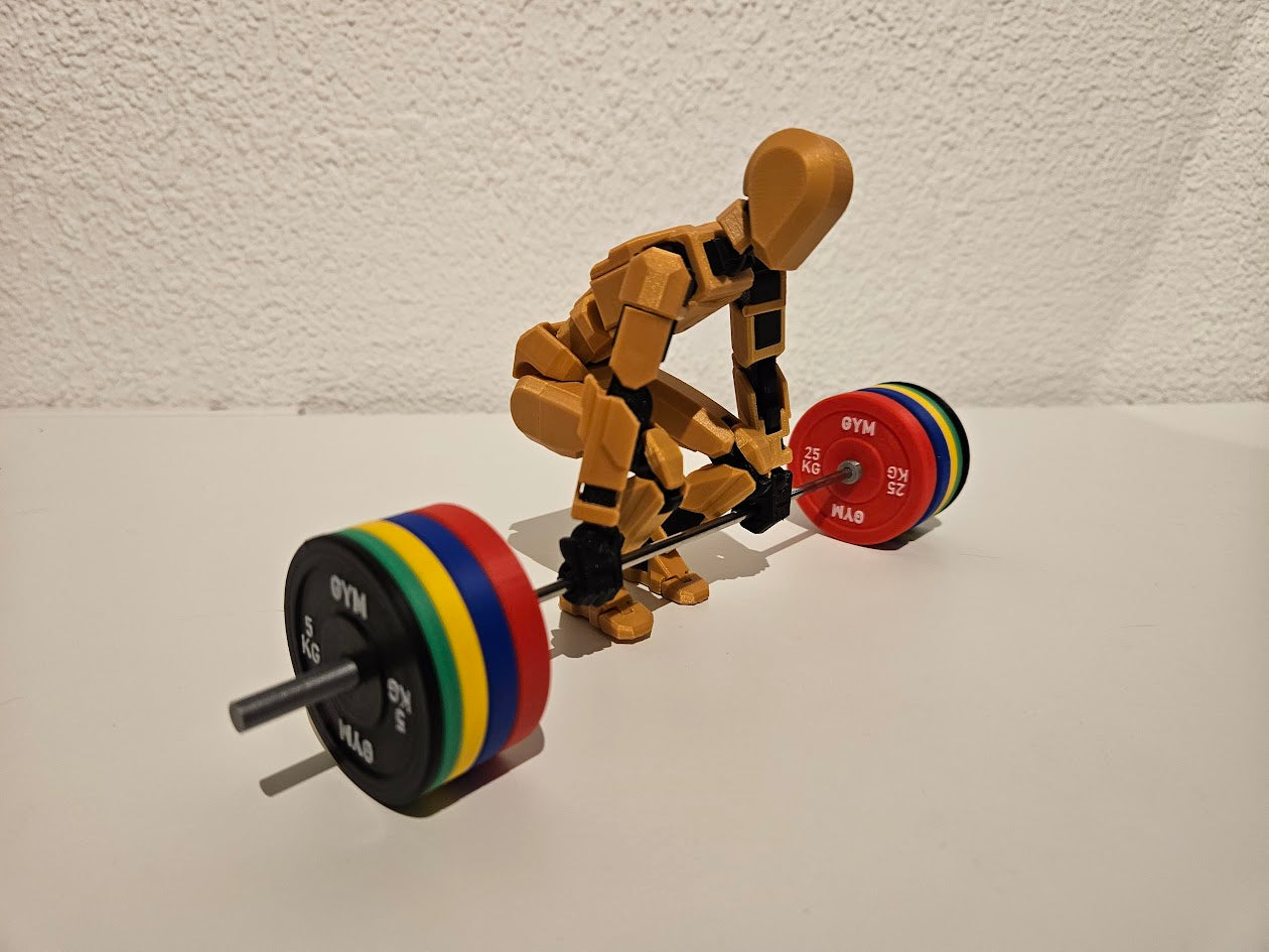 Dummy 13 - Mini Gym Edition (1:10 Scale / 135%)