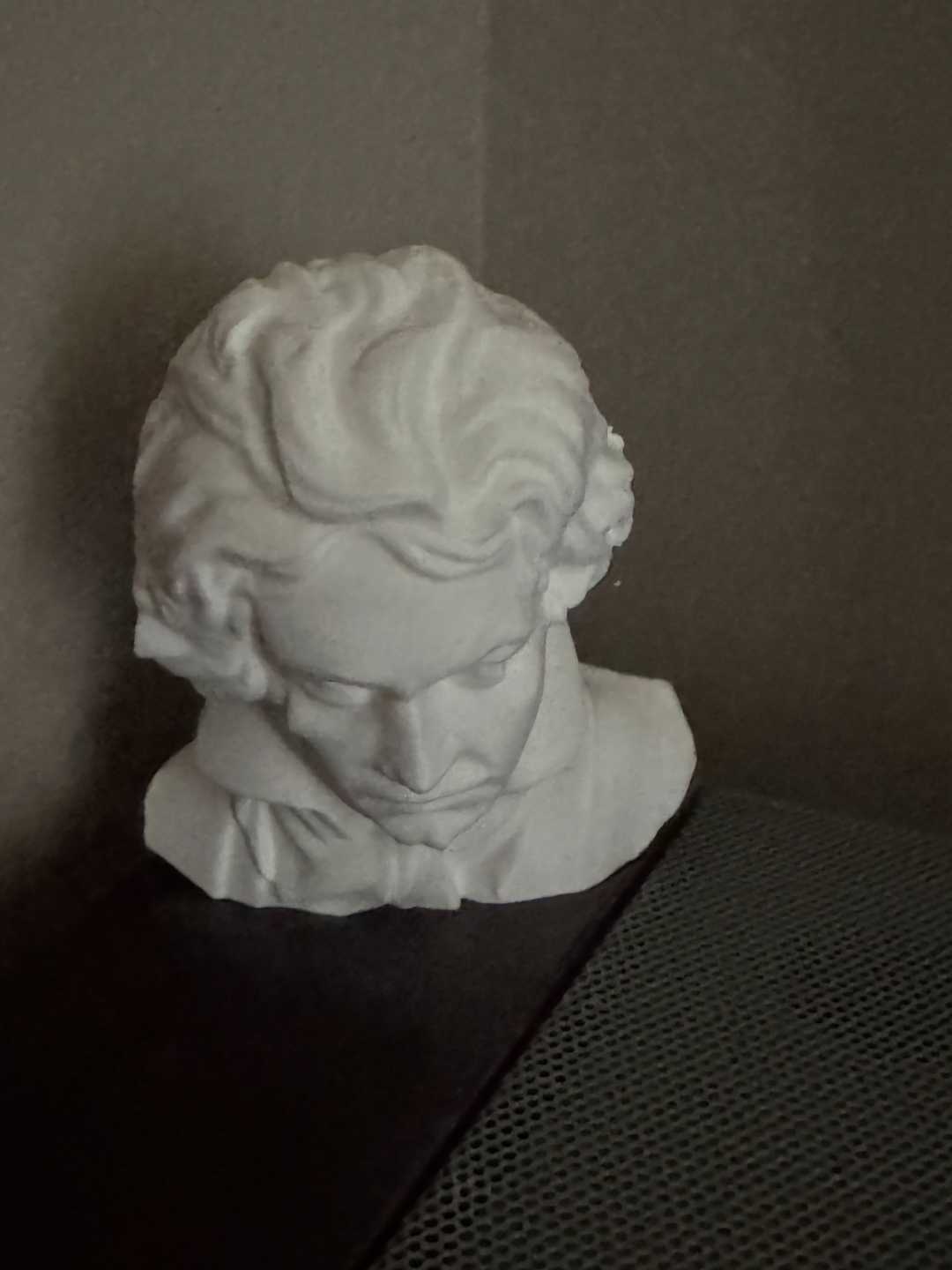 Beethoven Bust