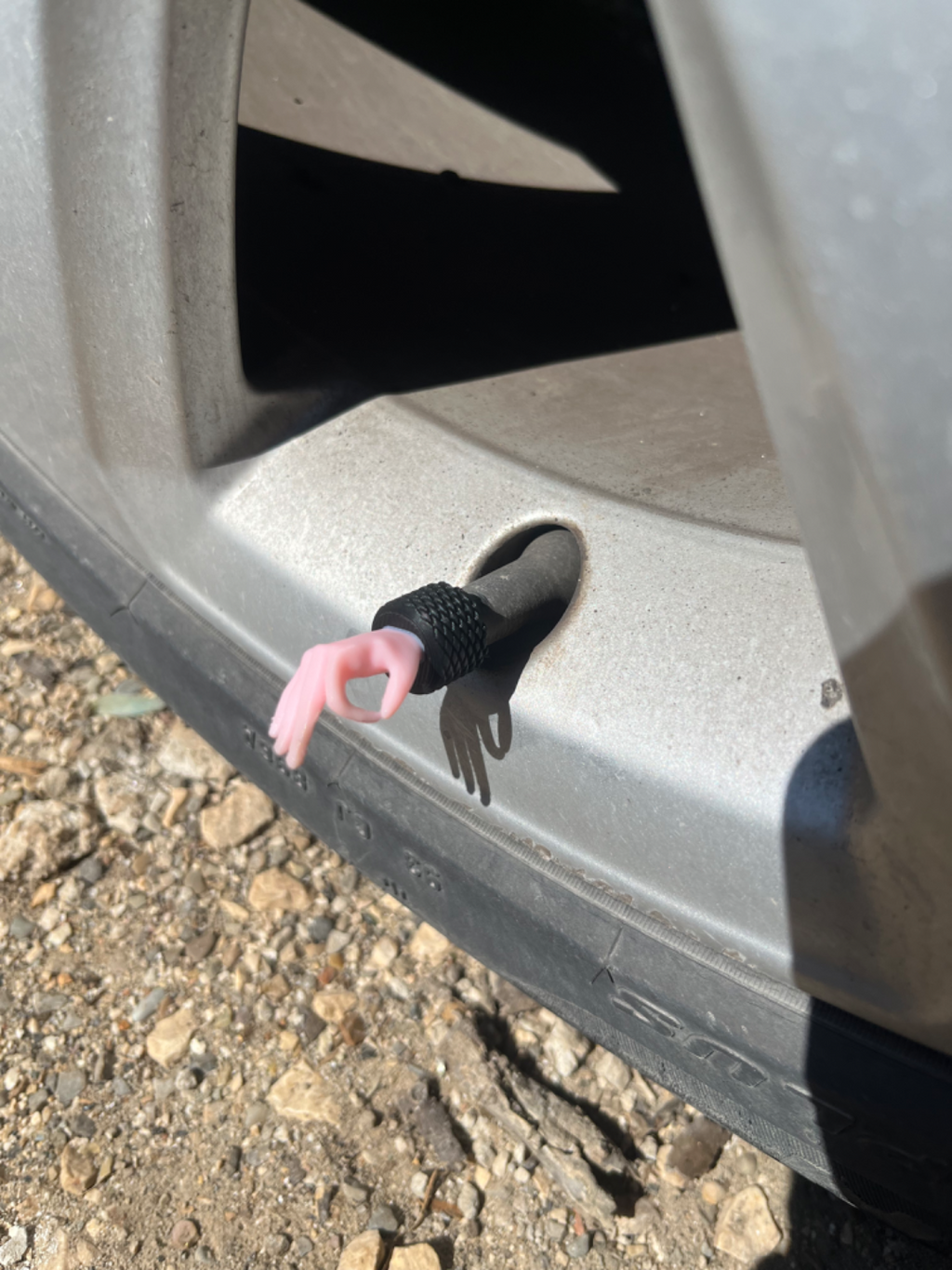 Funny Tyre Cap