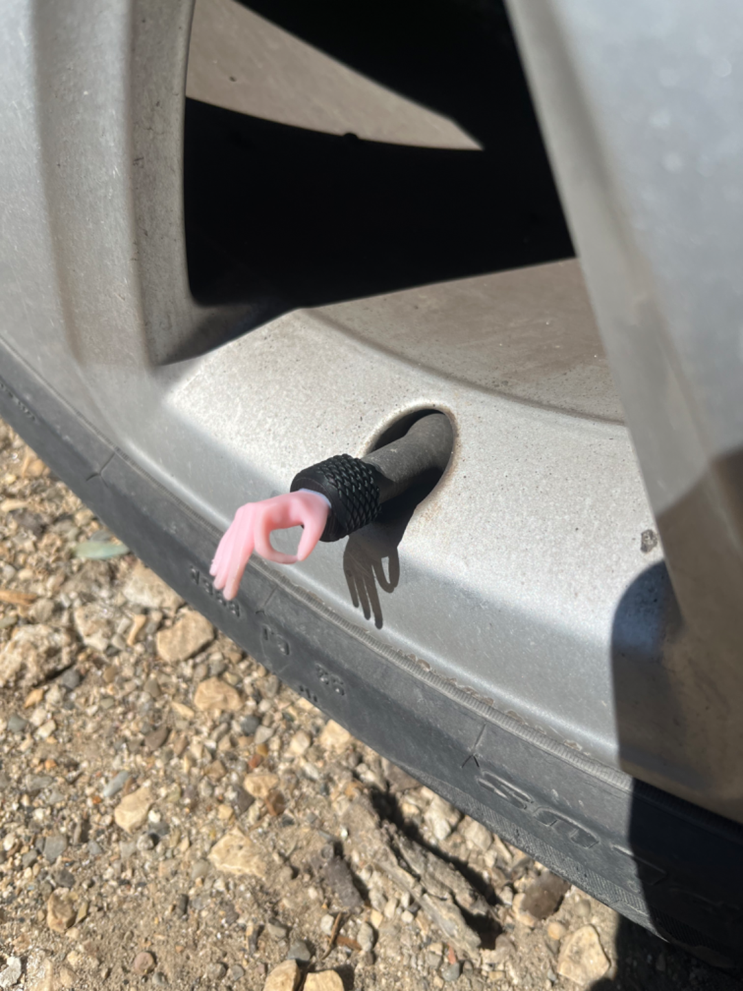 Funny Tyre Cap