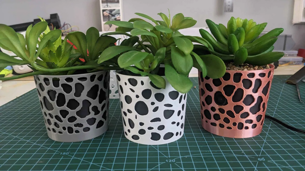 Planter spy cam