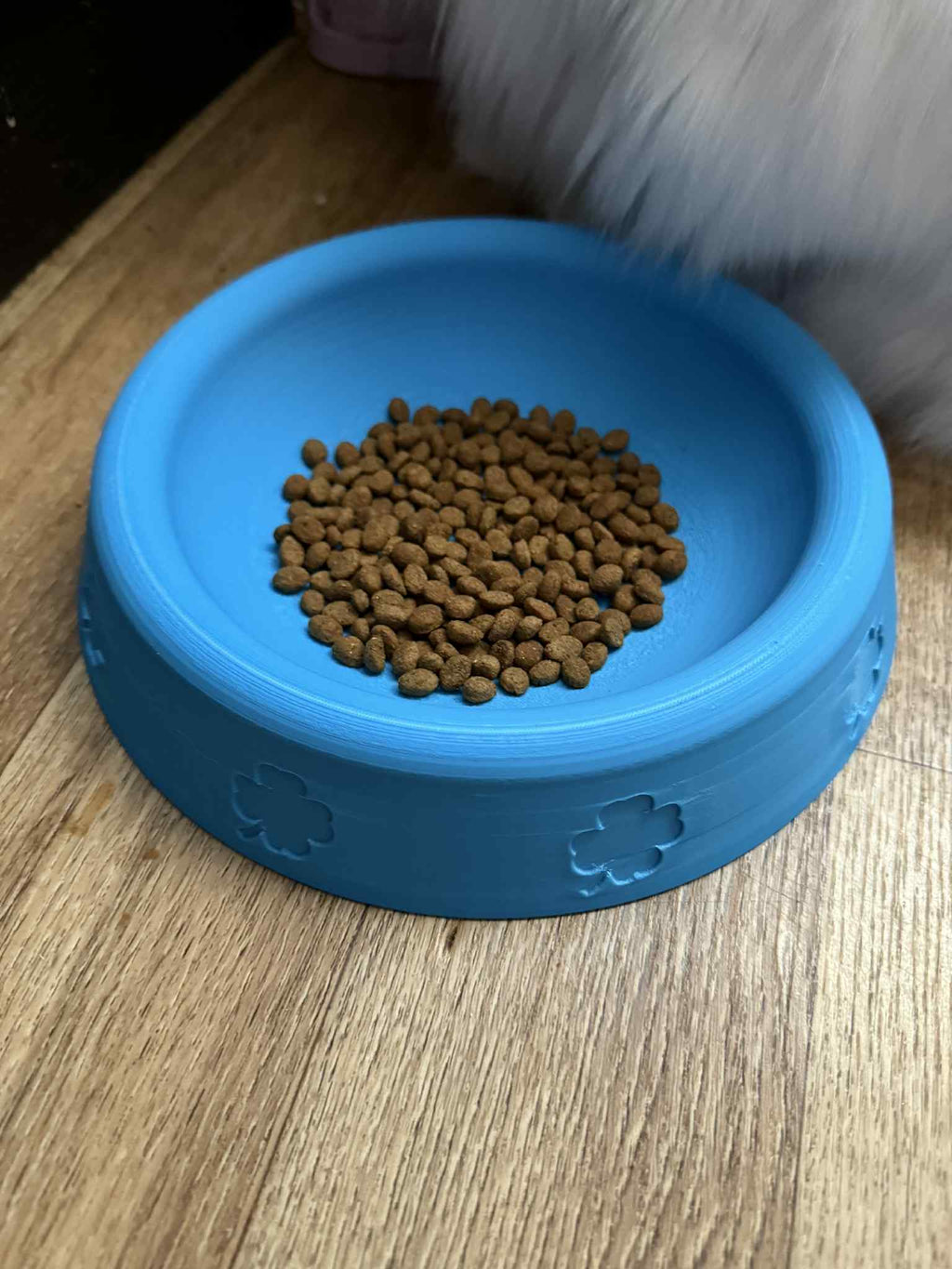 Bowl for pets, cats, dogs