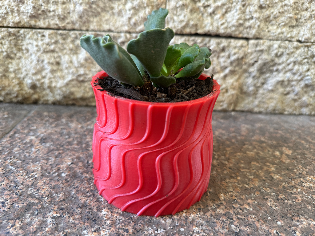 Plant Potter For Succulents / Pot / Container