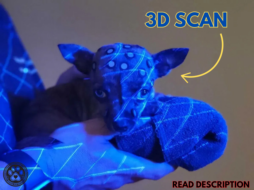 Dog Helmet - Getting Adoption Family a 3D Printer