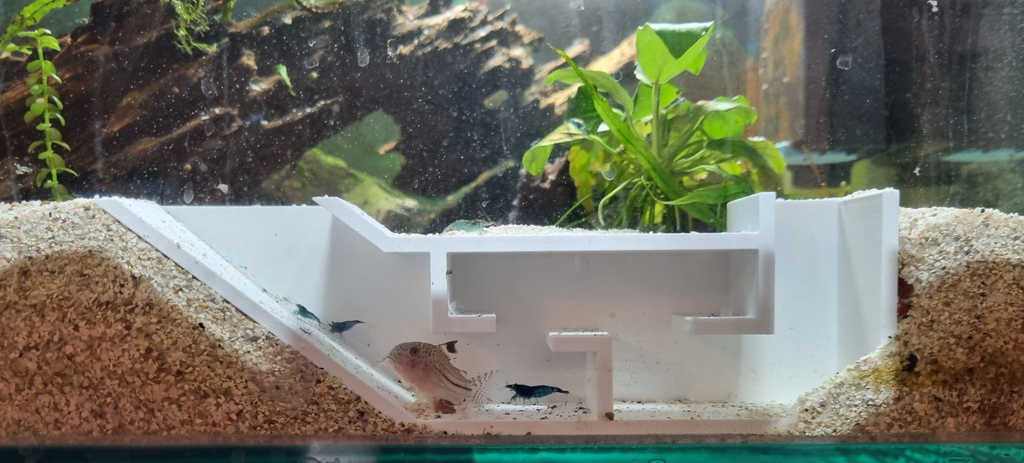 Aquarium Shrimp Tunnel
