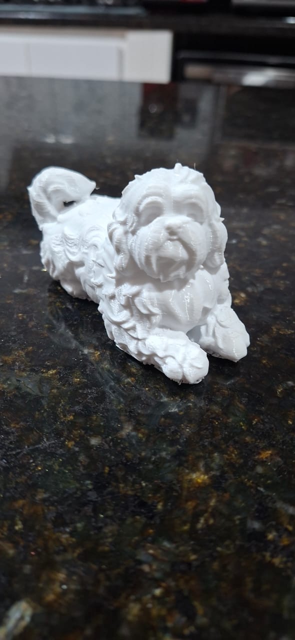 Shih Tzu cachorro