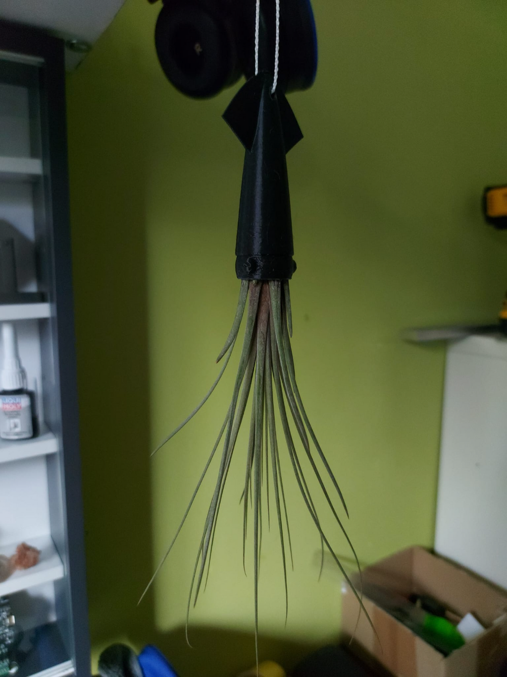 Squid Planter