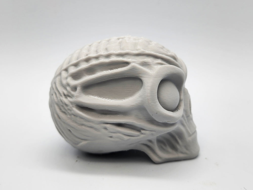 Mummified Alien Skull