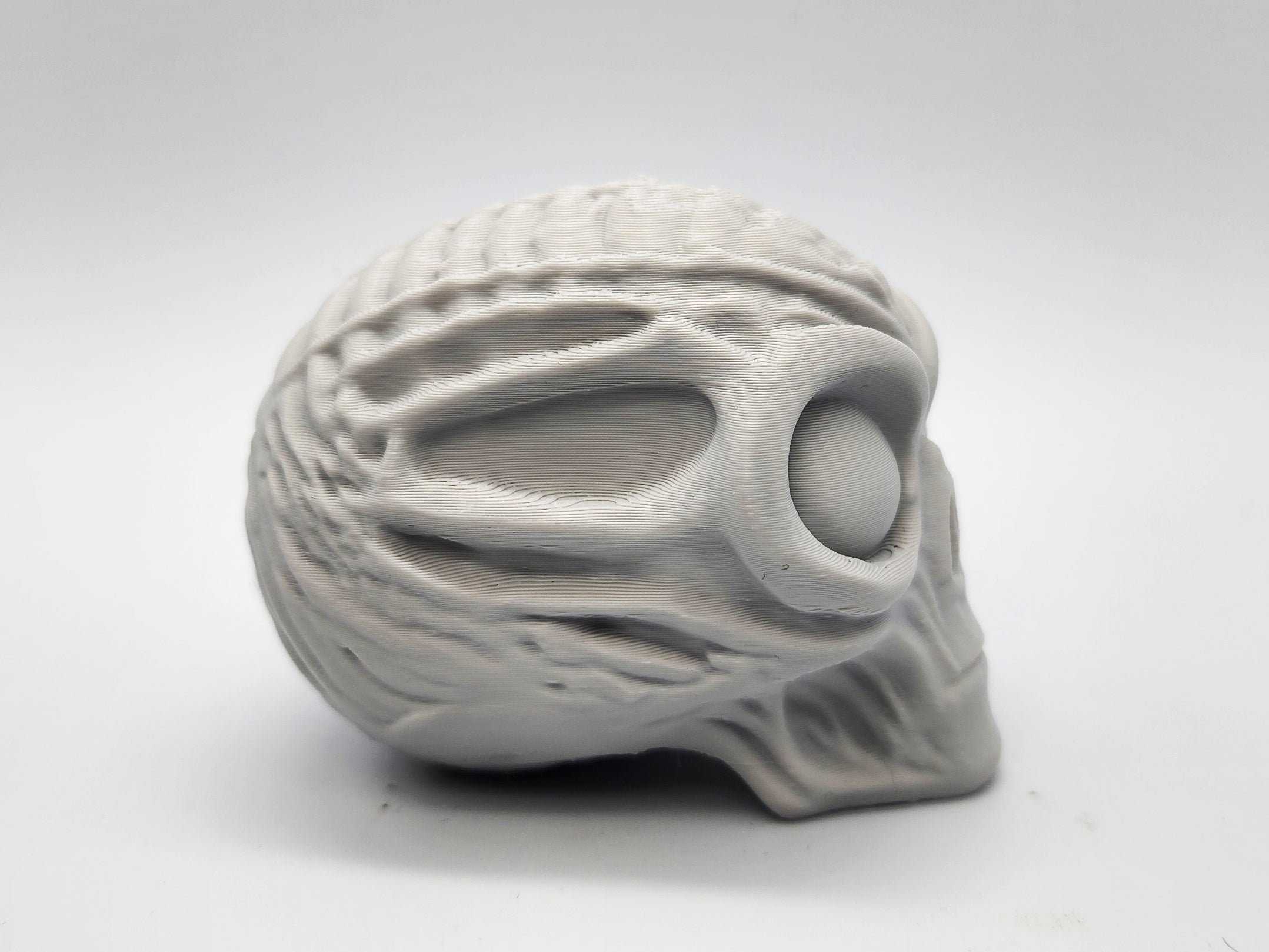 Mummified Alien Skull
