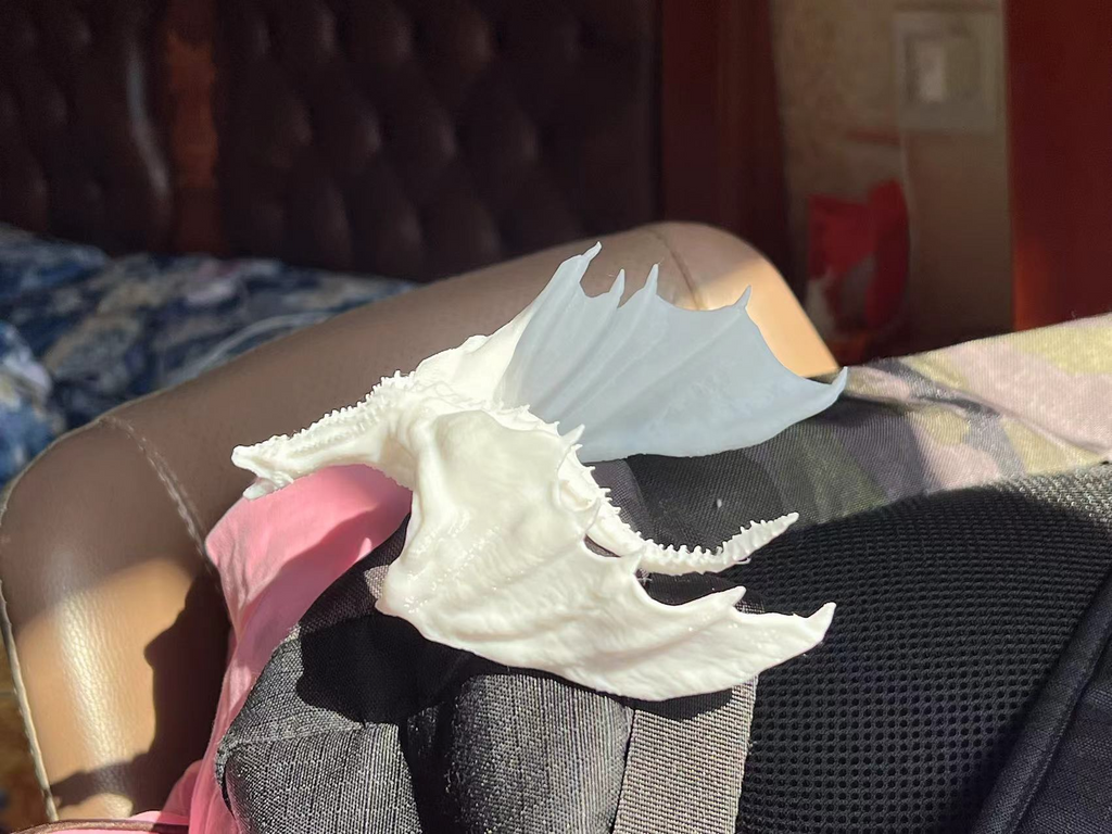 dragon 龙