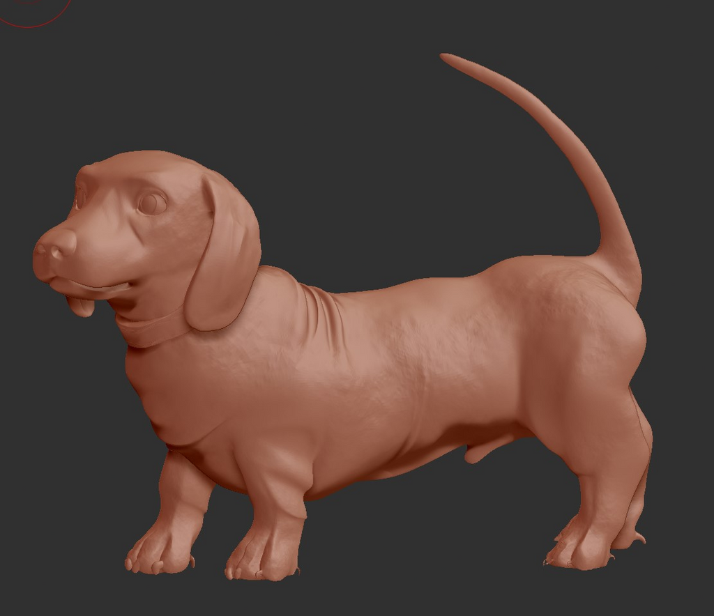 Dachshund