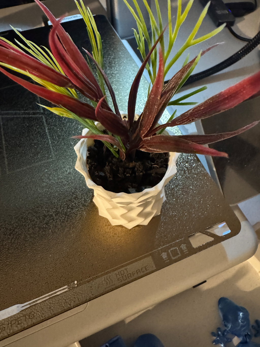 Modern Abstract Pot