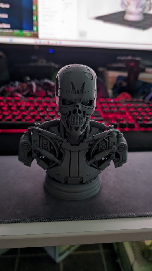 buste terminator v2