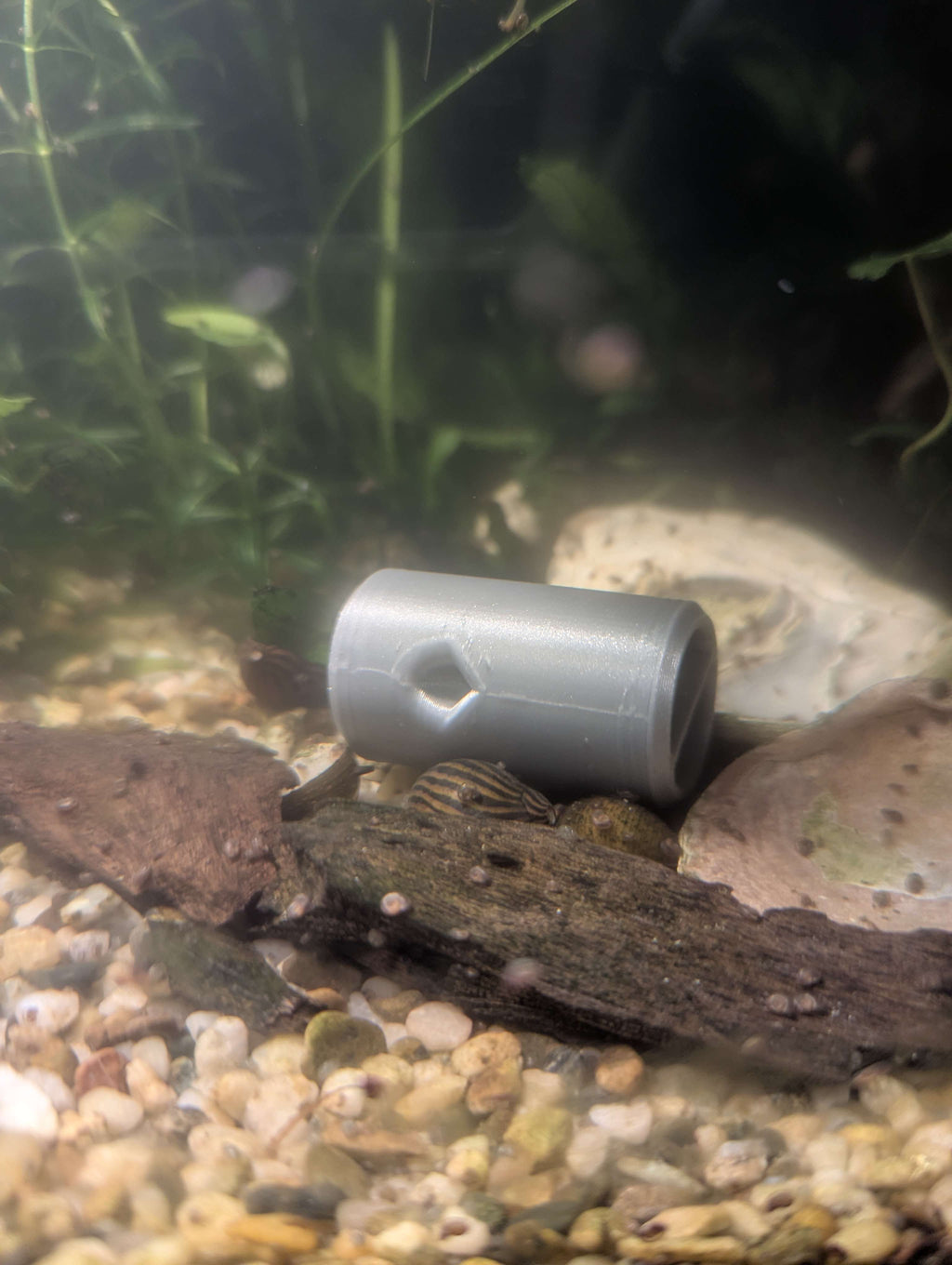 Aquarium trap 2mm hole