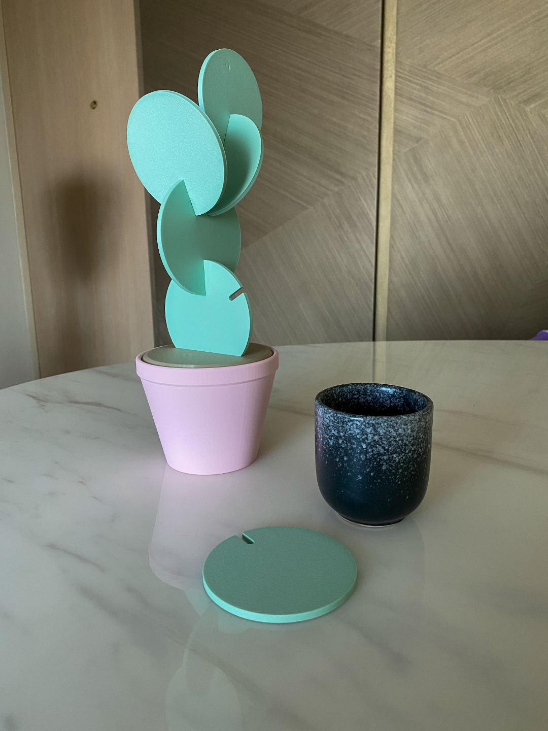 Cactus Plant Coaster