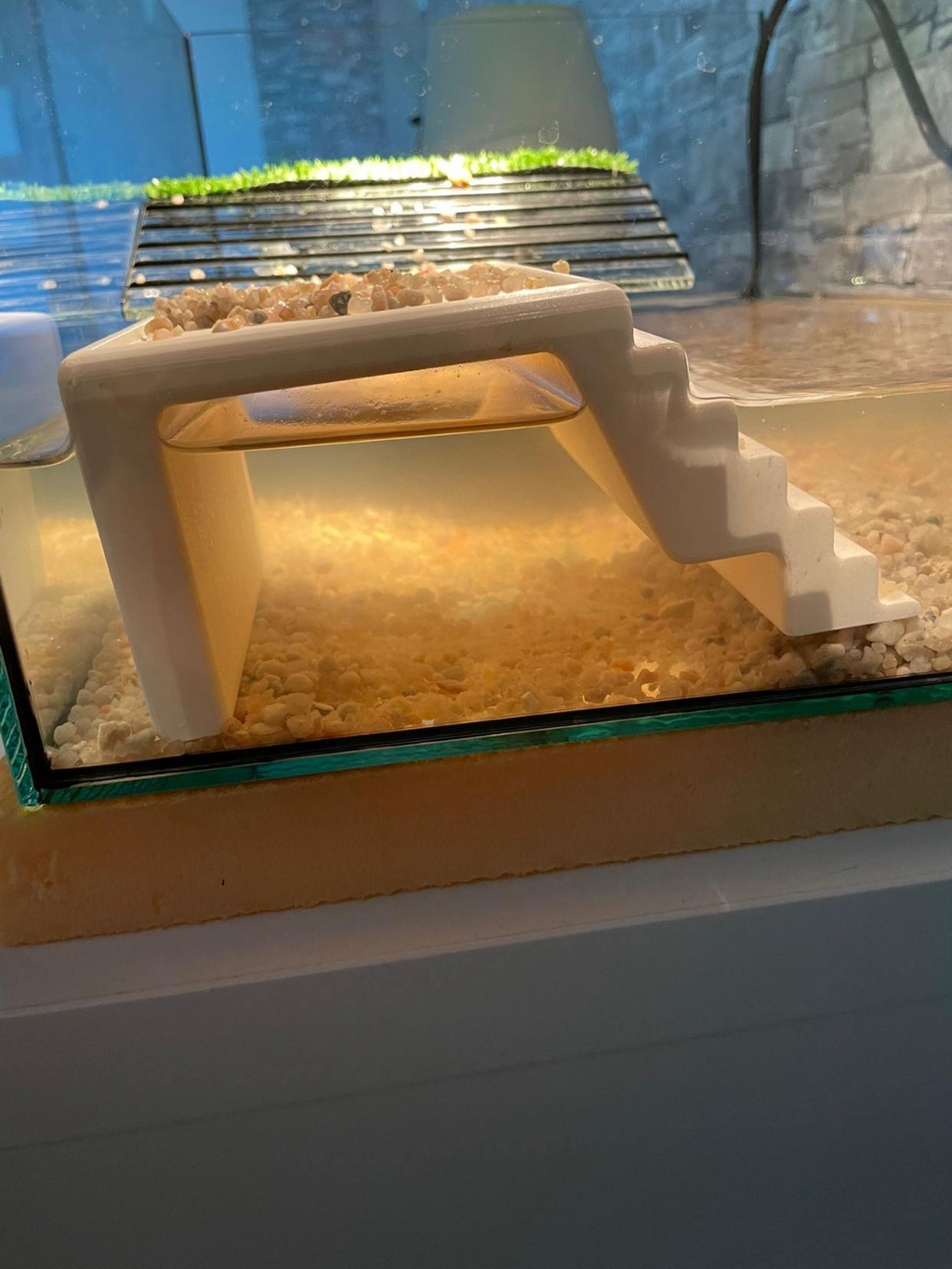 Turtle Platform