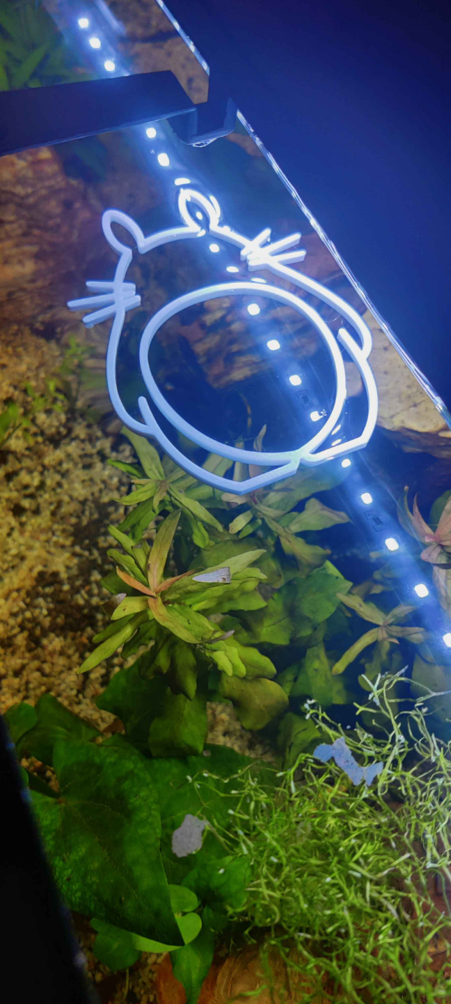 Totoro fish feeding/plant Ring