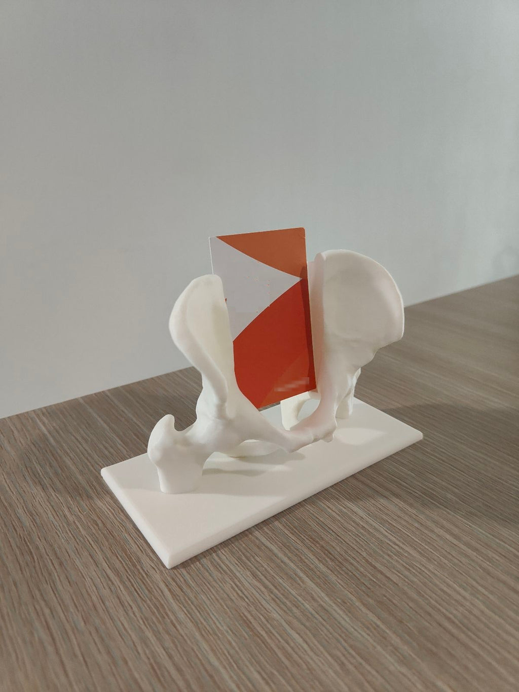 Pelvis Business Card Holder