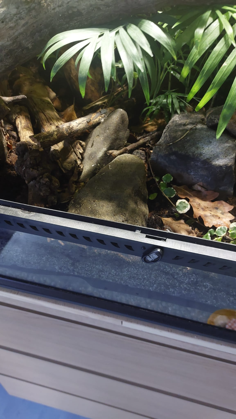 drain port for bioactive terrarium