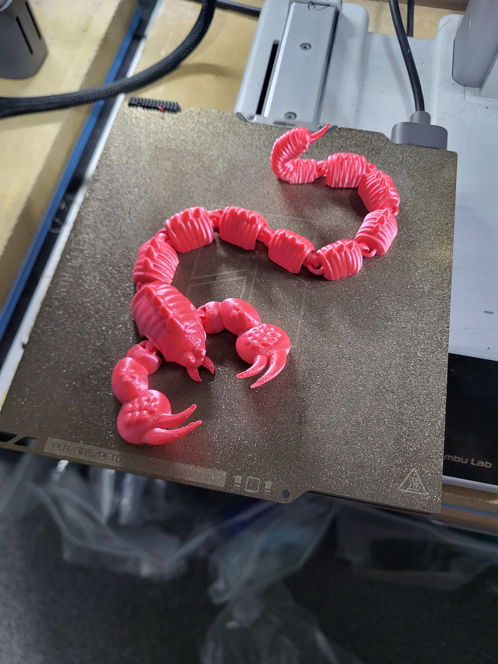 Scorpion dragon