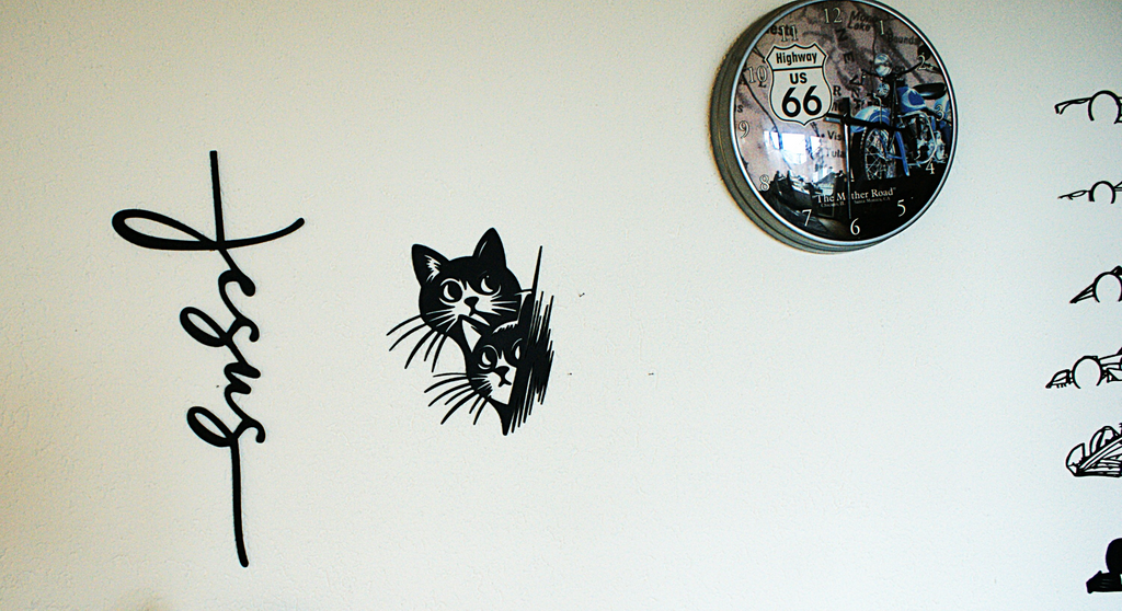 2 Cat