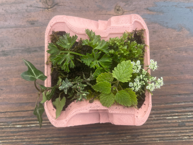 Wave Pot (Multiple Sizes)