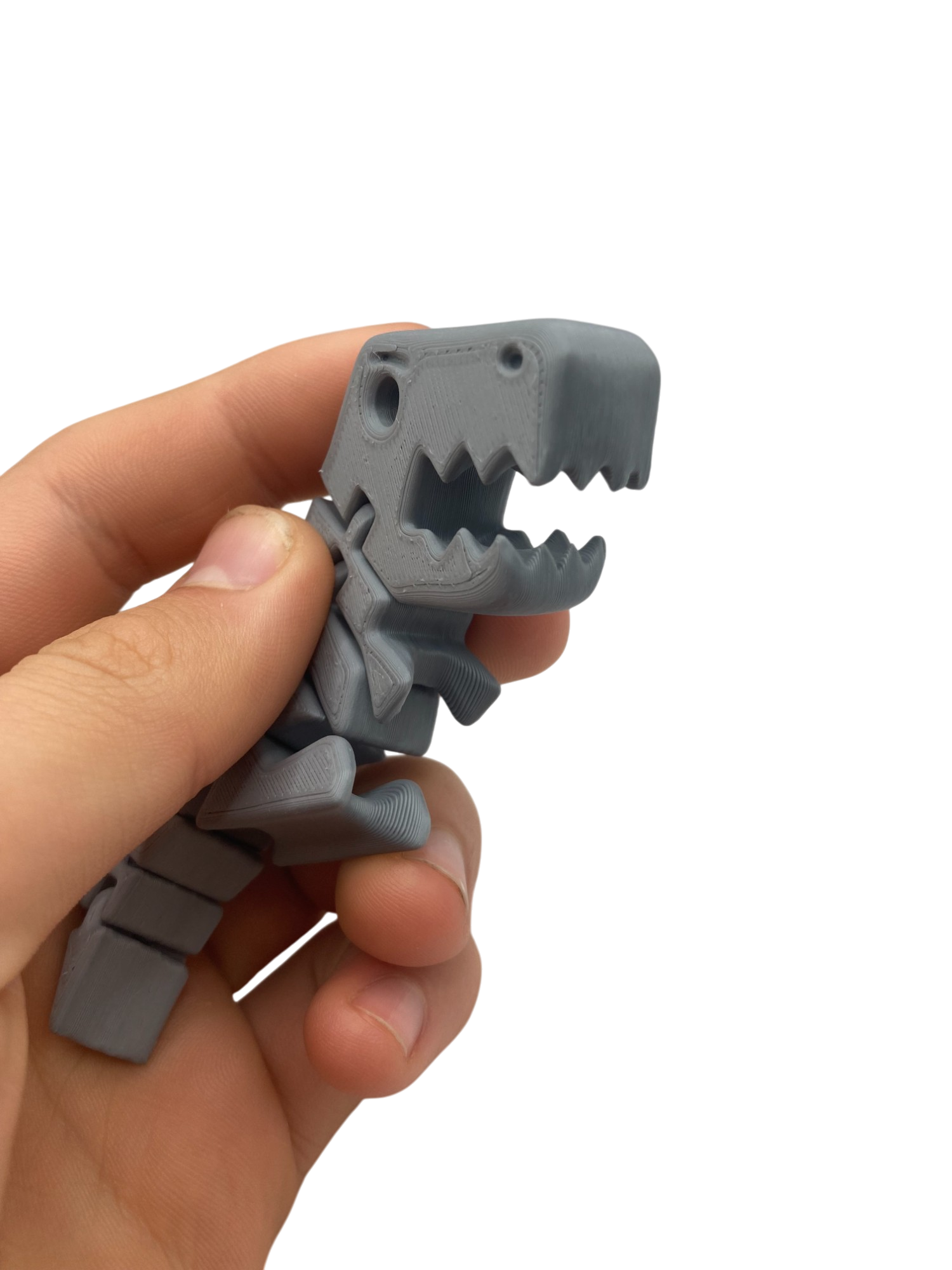 Flexi-Rex with rounded edges and front teeth