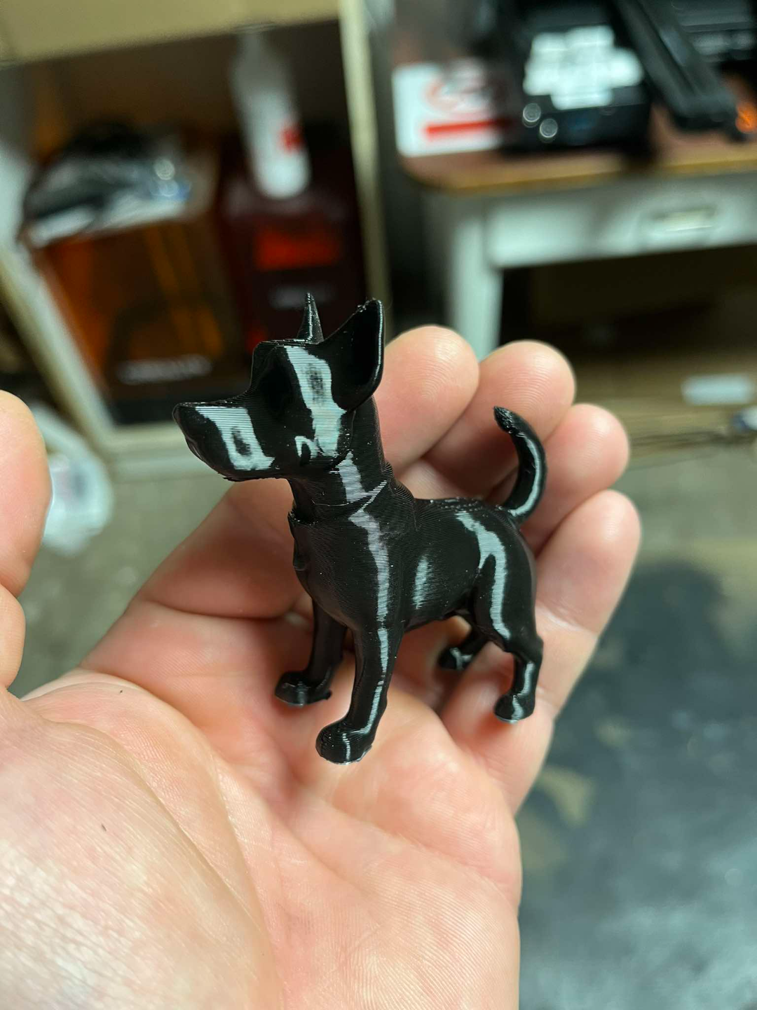 A small dog
