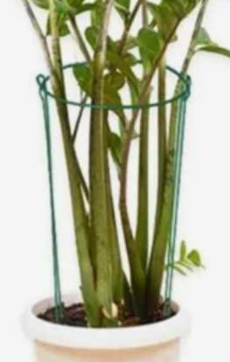 Plant support pile frame