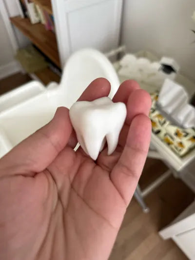 Tooth