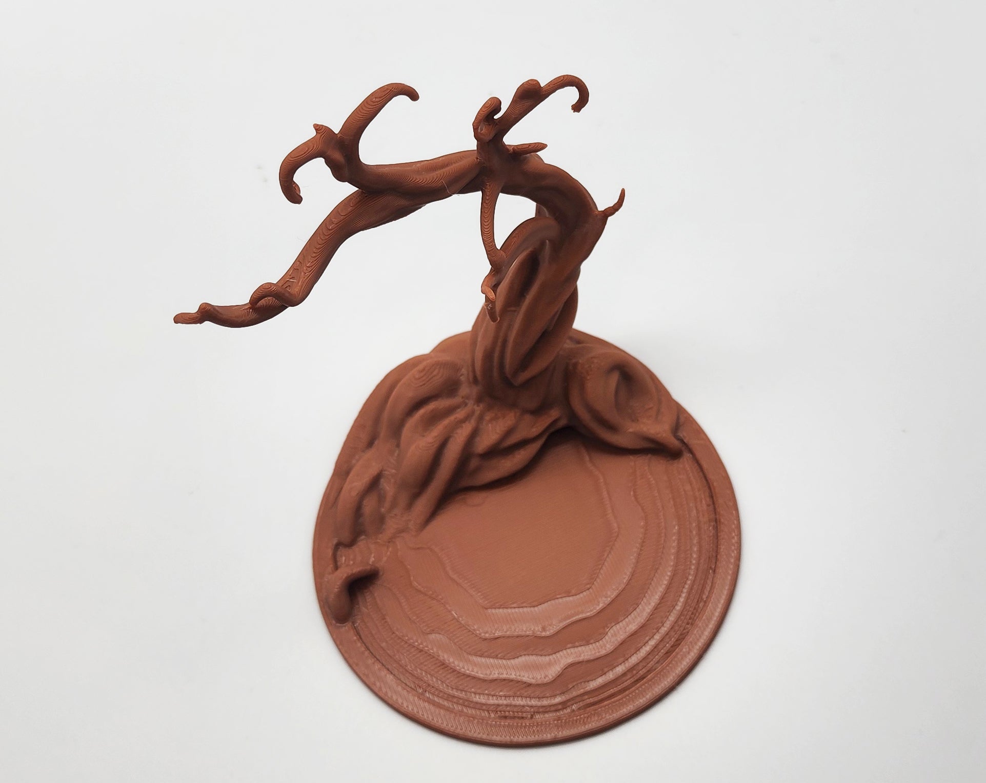 Namibian Acacia Jewelry Tree