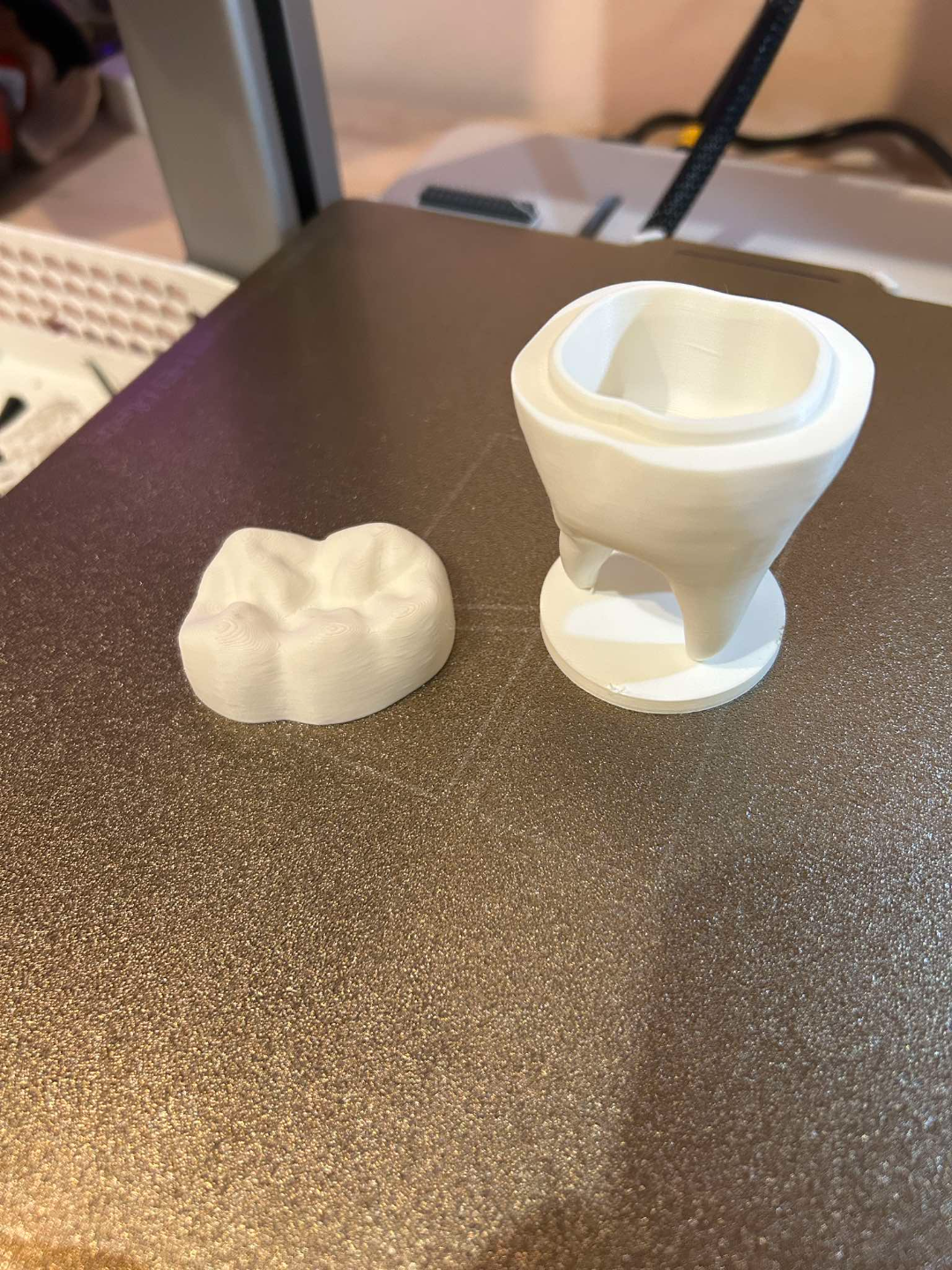 Toothbox, added supports, 0.2mm heigh