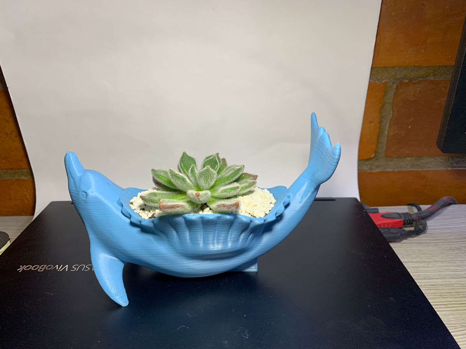 Dolphin planter