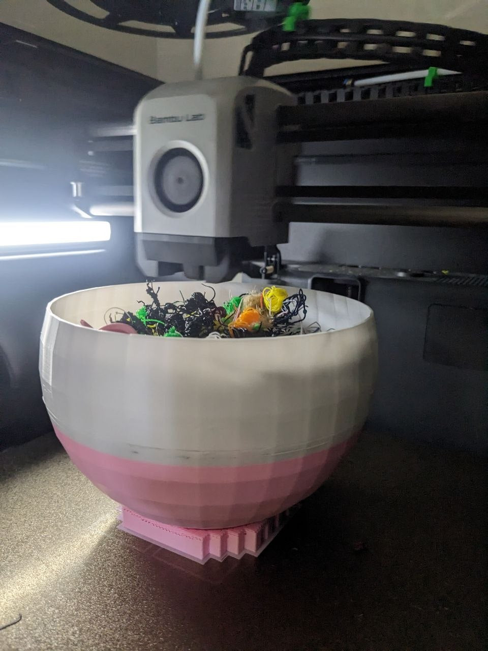 A layer of rattles