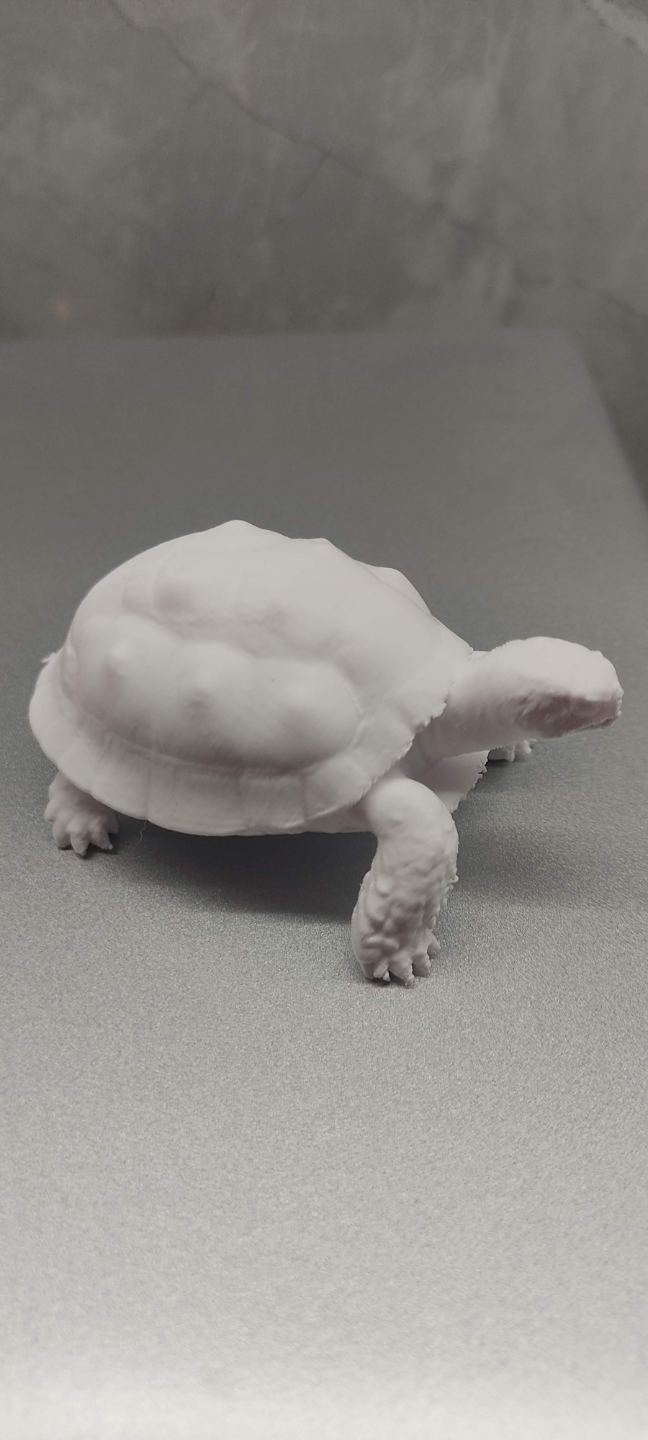 Turtle statue