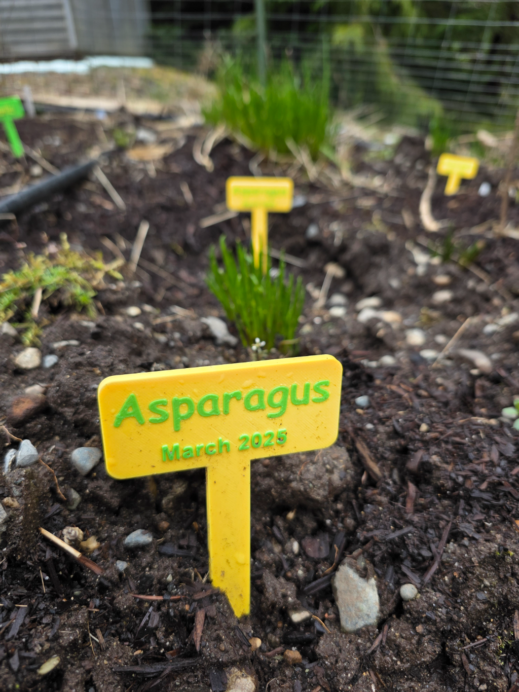 Editable Large Plant Tags