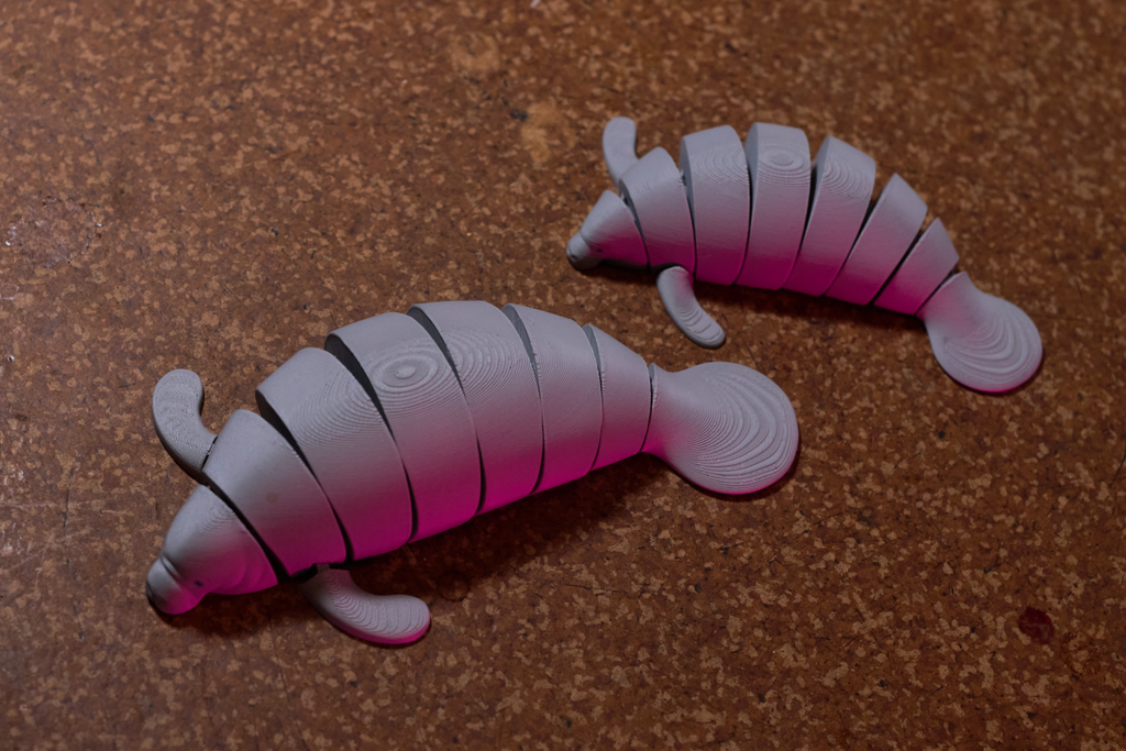 Articulated Manatee