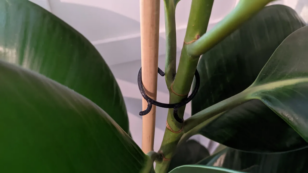 Last Meters Plant Clips