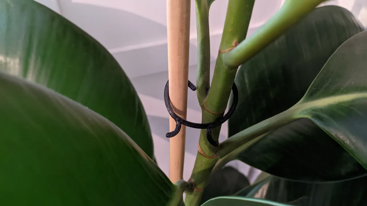 Last Meters Plant Clips