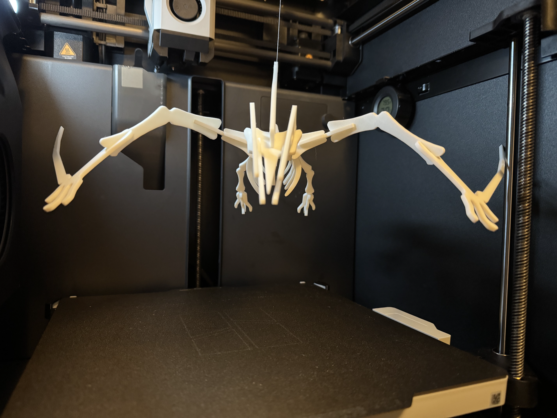 Pterodactyl Dinosaur Skeleton Puzzle