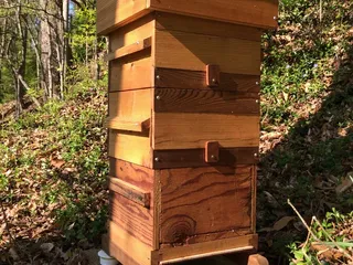 Bee Hive Ant Moat